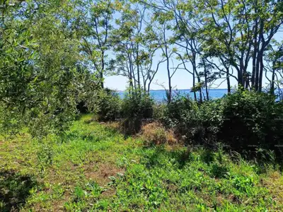 Peroj - landwirtschaftliches Grundstück 2.715 m² in Meeresnähe - 2