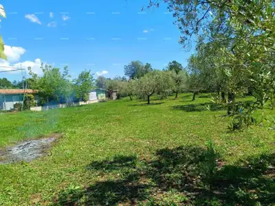 Peroj - landwirtschaftliches Grundstück 2.715 m² in Meeresnähe - 5