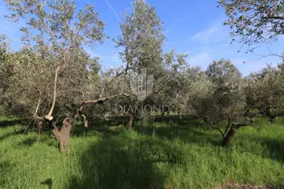 Land 5,793 m², Pula Centar - quiet location - 2