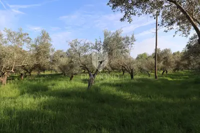 Grundstück 5.793 m², Pula Centar - ruhige Lage