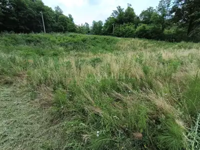Land plot for sale in Perjavica - 3