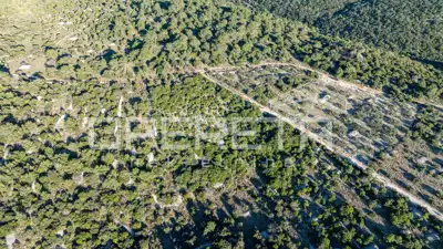 Landwirtschaftsfläche 2.646 m², Povlja - ruhige Lage