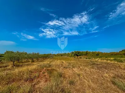 Kuća u nizu, Umag - pogled na more i mirno naselje - 9