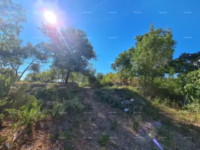 Stancija bei Vodnjan! Großes Grundstück 6.390 m²! ! - 4