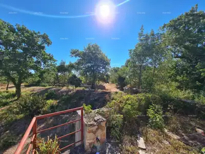 Stancija bei Vodnjan! Großes Grundstück 6.390 m²! ! - 13