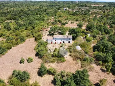Stancija bei Vodnjan! Großes Grundstück 6.390 m²! ! - 19