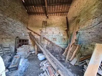 Stancija bei Vodnjan! Großes Grundstück 6.390 m²! ! - 8
