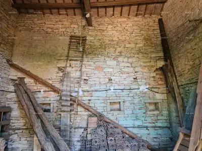 Stancija bei Vodnjan! Großes Grundstück 6.390 m²! ! - 9