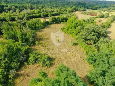 Building plot 1,040 m², Marčana - project and permit - 2