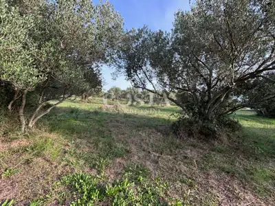 Building plot 669 m², Turanj - 400 m from the sea - 6