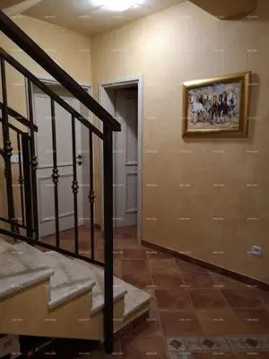 Haus 168 m², Poreč - großer Garten und Pool 35 m² - 15