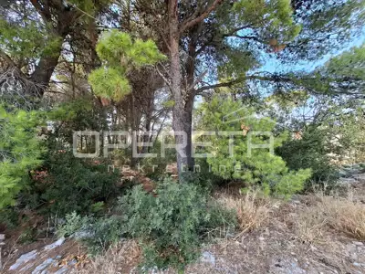 Baugrundstück 369 m², Milna na Braču, leichte Hanglage - 4
