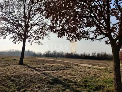 Građevinsko zemljište 6.023 m², Žminj - mirna lokacija