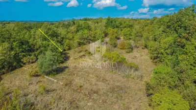 Grožnjan, surroundings! Land in a peaceful location! - 2