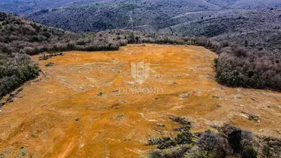 Building land 44,991 m², Barban - investment opportunity - 6