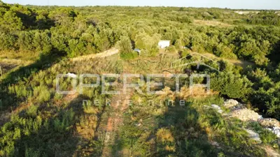 Zemljište 8.000 m², Vodnjan - mirno okruženje blizu grada - 3