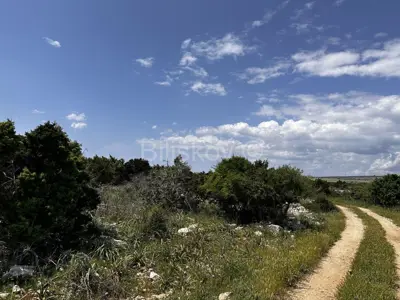 Poljoprivredno zemljište, otok Pag 83.000 m²