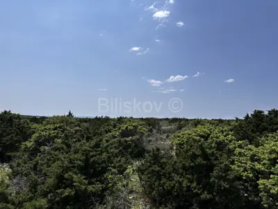 Verkauf, landwirtschaftliche Fläche, Insel Pag 83.000 m² - 2