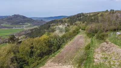 Building plot 1,800 m², Motovun - permit for a villa with a pool - 8