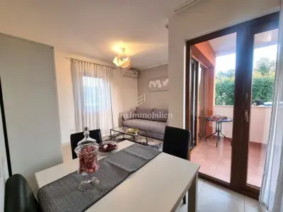 Stan 43 m², Novigrad - prizemlje, terasa i parking - 4