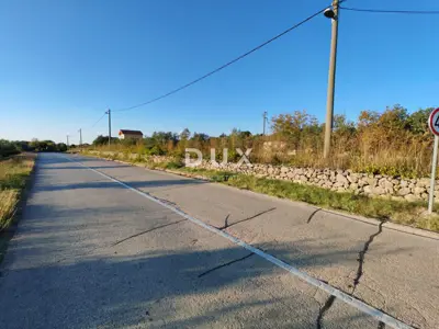 Land, Pridraga - olive grove with 10 trees, building zone - 7