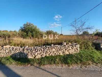 Land, Pridraga - olive grove with 10 trees, building zone
