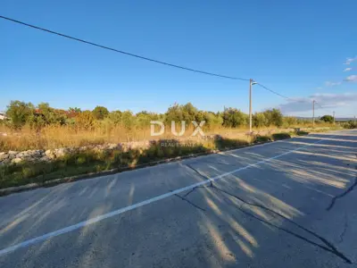 Land, Pridraga - olive grove with 10 trees, building zone - 5