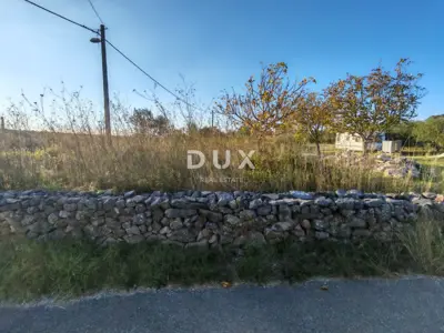 Land, Pridraga - olive grove with 10 trees, building zone - 3