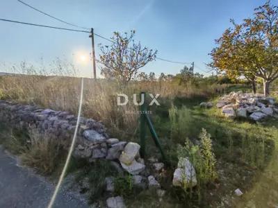 Land, Pridraga - olive grove with 10 trees, building zone - 4
