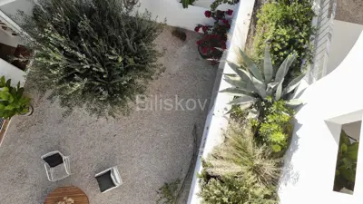 Šolta, Maslinica, prodaja, samostojeća kuća, 4 odvojene jedinice - 13