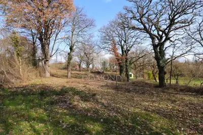 Haus 200 m², Kanfanar - Steinhaus und ruhige Lage - 20