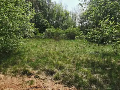 Građevinsko zemljište 1 817 m², Sveta Nedelja - mirno naselje - 5