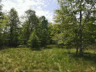 Građevinsko zemljište 1 817 m², Sveta Nedelja - mirno naselje - 3