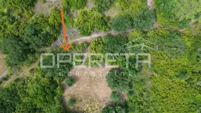 Agricultural land 342 m², Smokvica - fertile soil - 5