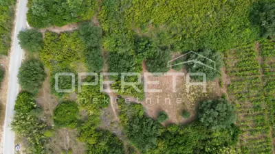 Agricultural land 342 m², Smokvica - fertile soil - 4