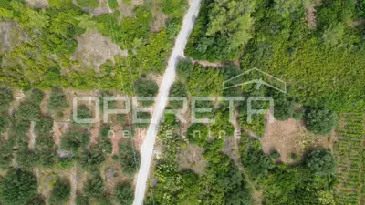 Agricultural land 342 m², Smokvica - fertile soil - 7