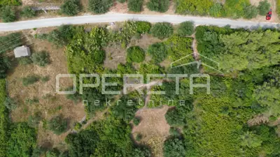 Agricultural land 342 m², Smokvica - fertile soil - 11