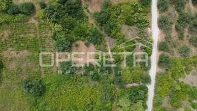 Agricultural land 342 m², Smokvica - fertile soil - 2