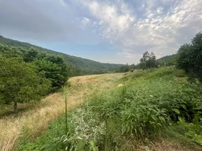 Istra, Sovinjak, Grundstück, 57.356 m², Ruine 316 m² - 17