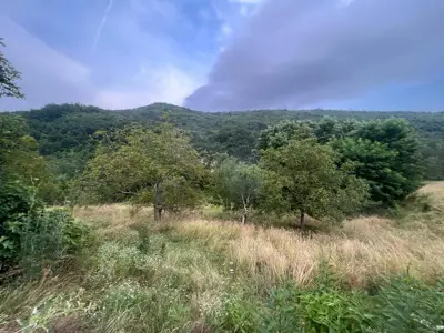 Istra, Sovinjak, Grundstück, 57.356 m², Ruine 316 m² - 18