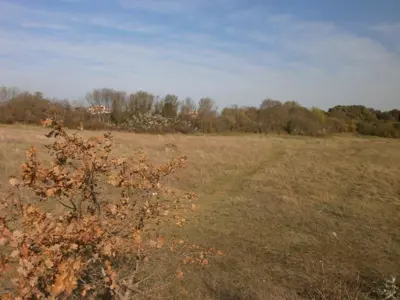 Građevinsko zemljište 9 000 m², Veli vrh, Pula