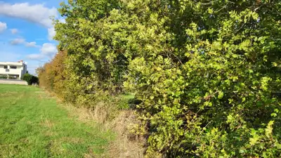 Building plot 940 m², Loborika - two access roads - 6