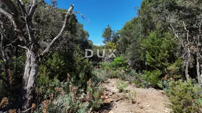 Poljoprivredno zemljište, Punta Križa - mirna lokacija i pristup - 6