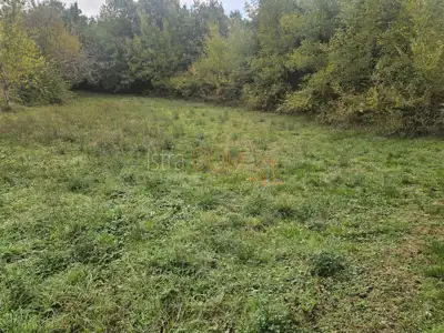 Baugrundstück 2.900 m², Divšići, Marčana - ruhige Umgebung - 5