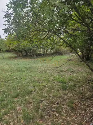 Baugrundstück 2.900 m², Divšići, Marčana - ruhige Umgebung - 4