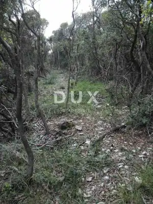 Agricultural land, Rakalj - first row to the sea - 8