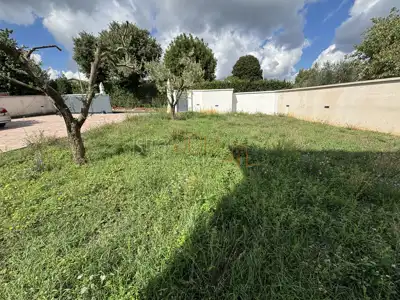 Kuća u Barbanu, bazen i konoba - 19