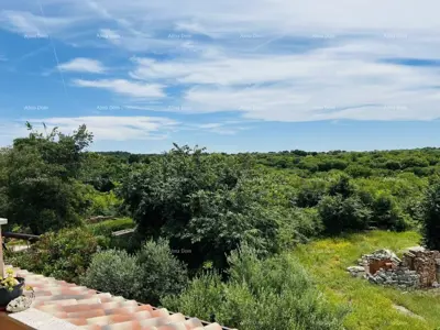 Stone house in Bale, near the center and landscaped yard - 13