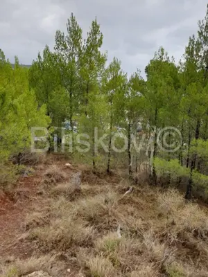Brač, Bol 1750 m² zemljište gospodarske namjene K3