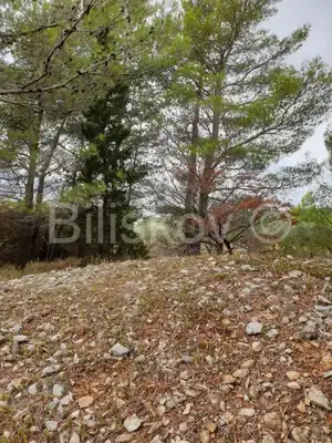 Brač, Bol 1750 m² zemljište gospodarske namjene K3 - 2
